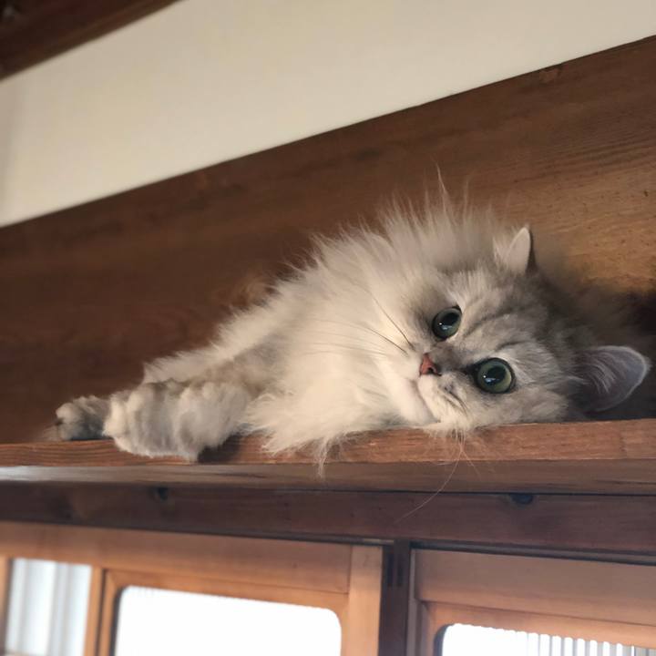 Fceaa5ef 89c7 4e3c 8a30 5faa7681436a 1578878031739