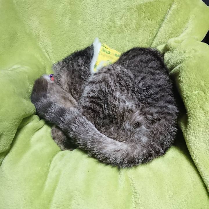 Fceaad99 5def 4cdb 91a6 ef989bc60904 1586518884464