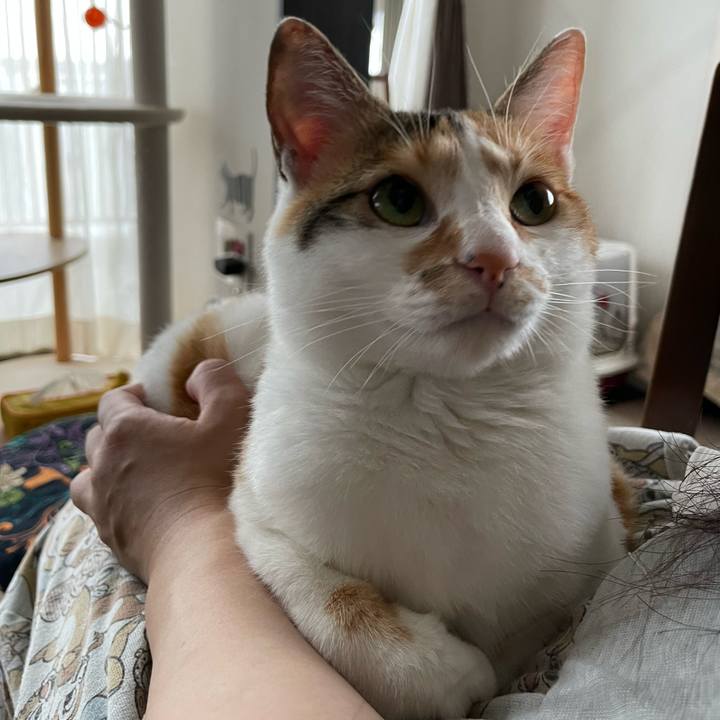 Fceaccbb 30e9 45ad 8511 425dfedfa733 1661470505674