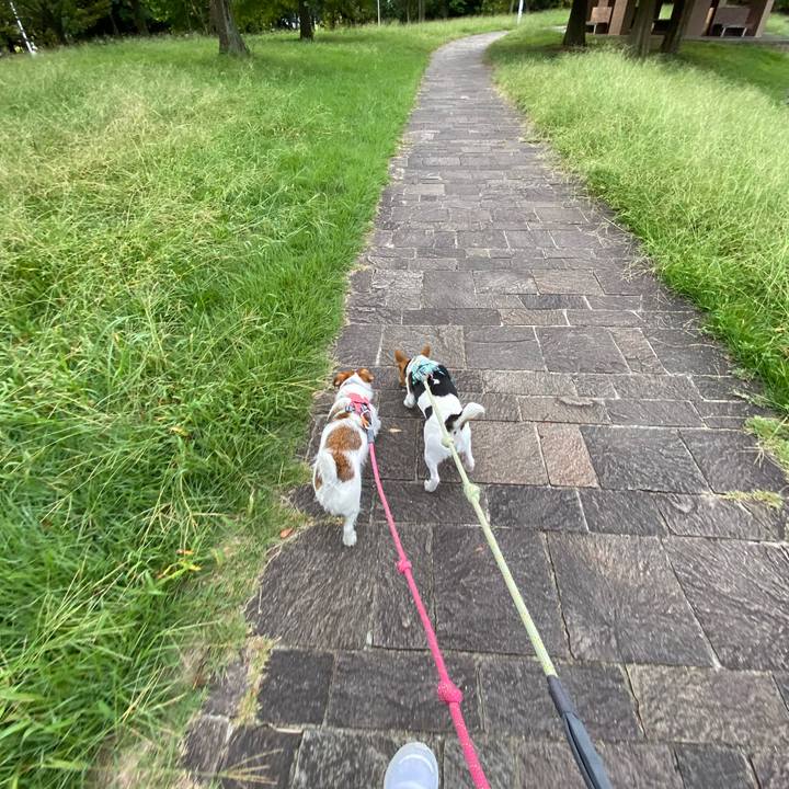 Fceacf09 e497 4fd5 b297 bdf07504fc94 1759020848132