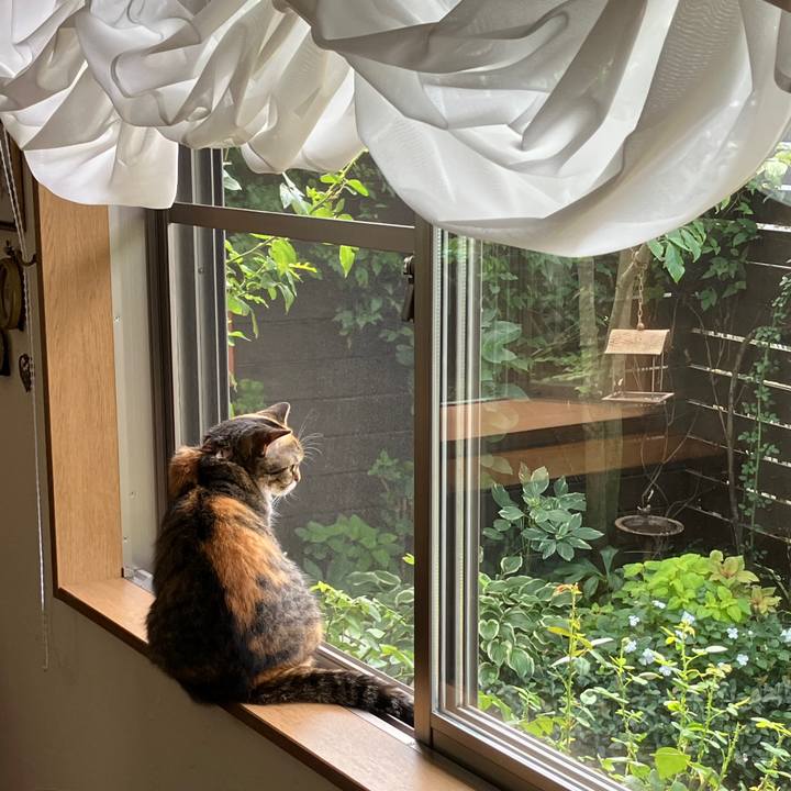 Fceb4273 35ae 4690 b1d2 caa56eac5009 1758585361022