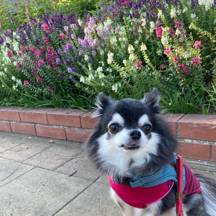 Fceb5b32 8736 42e8 a0d5 1399d19e178c 1761814236212