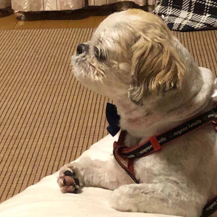 Fceb627f 9c66 4c5c 85c4 7ccfb9ef768f 1591912781931