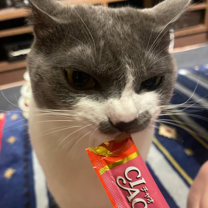 Fceb7281 76f4 49b9 bed8 5d08755e3cc4 1634805608657