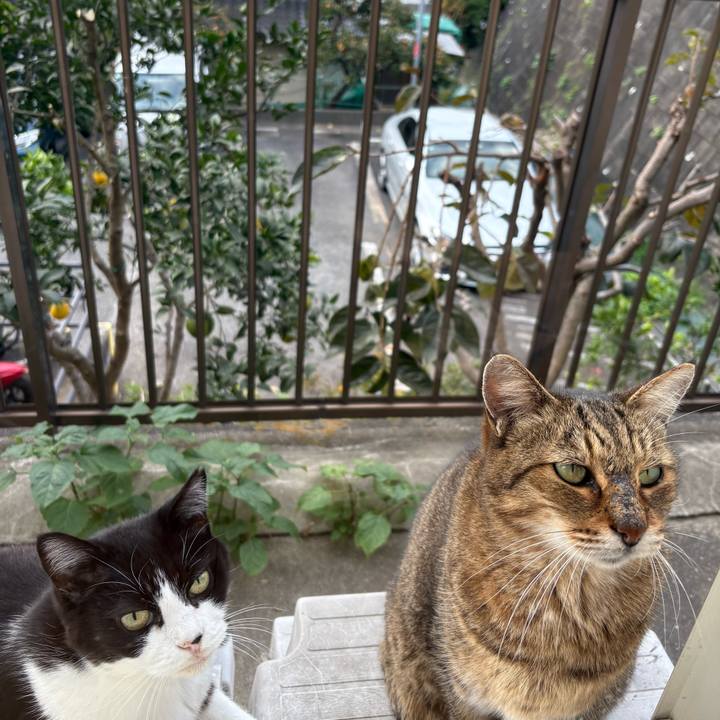 Fceb8022 c1ed 4b40 ae60 4a3a0c65d6c9 1762558436001