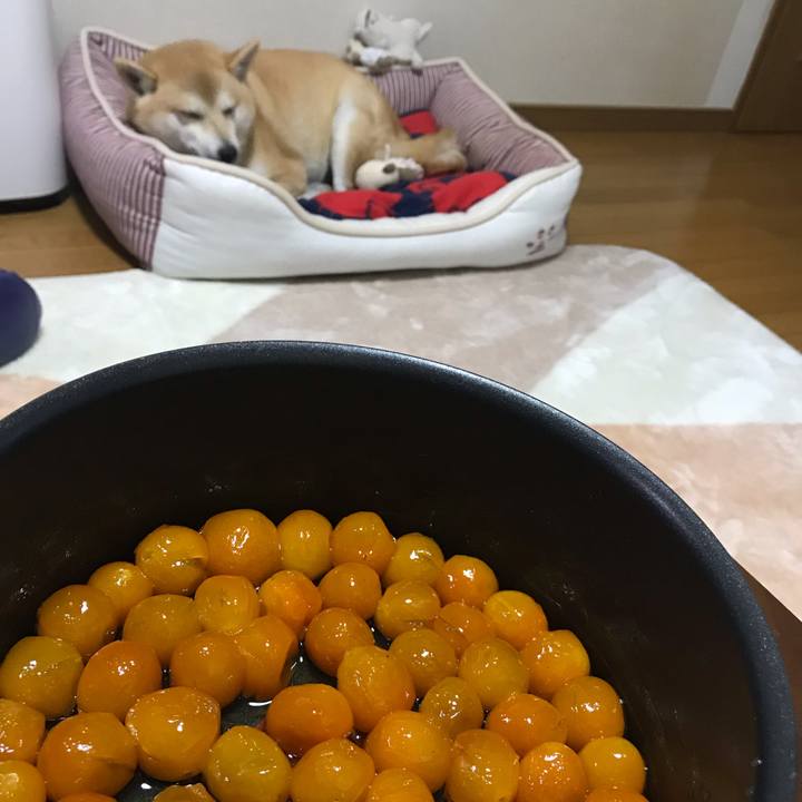 Fceba425 8b59 4a4b a375 f0b8144035e8 1545305489747