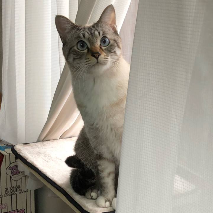 Fcebc65d 44fe 409f 8f17 991e0e0588ad 1641425439728