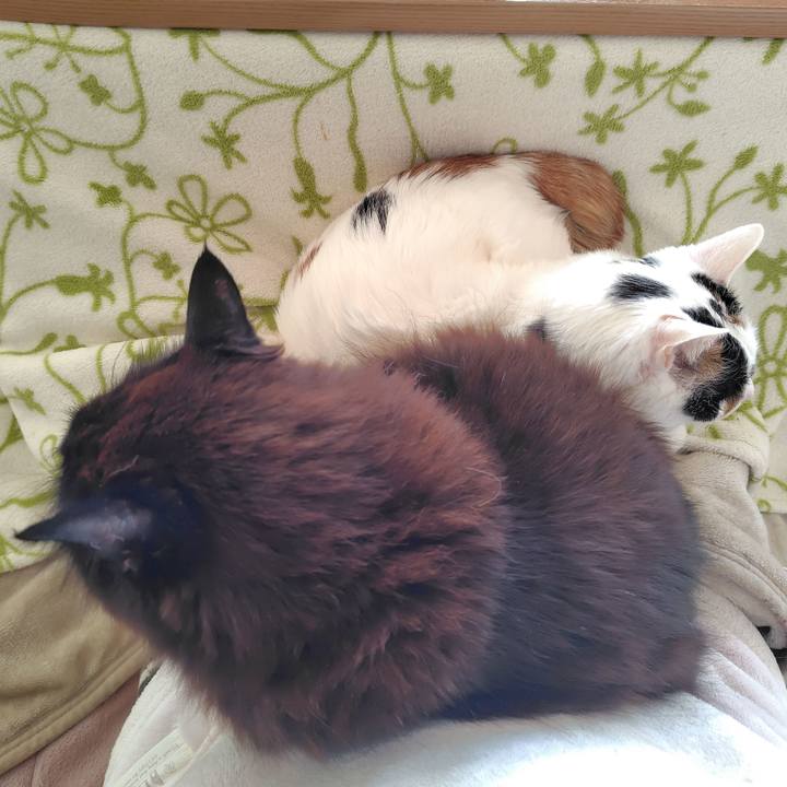 Fcec3520 df3f 46d1 983b fa970ef6ed24 1773101315972