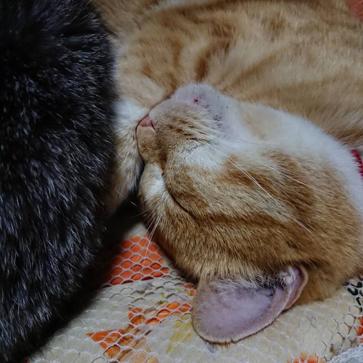 Fcec4451 bfc1 4b71 865d 636582b91ad9 1577535818255