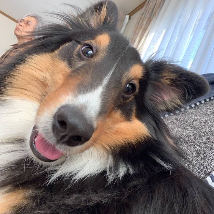 Fcec7f5d a884 4c8c 9ae9 33f97ad9b979 1552085021094