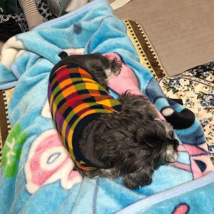 Fcec979a ff33 44f3 a0d5 131df1f783b2 1637673730936