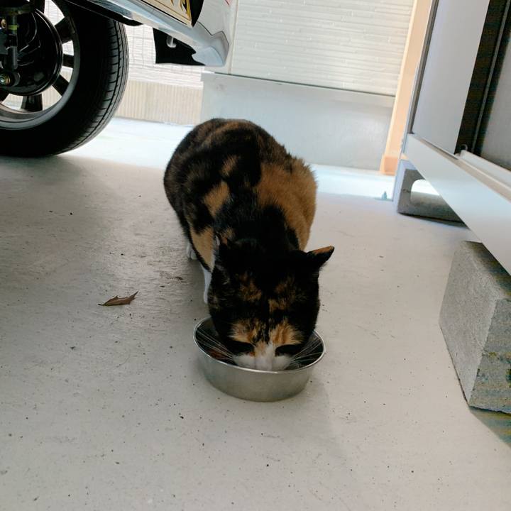 Fceca25f 31c0 43a0 bc36 f57272fb682b 1573257700888