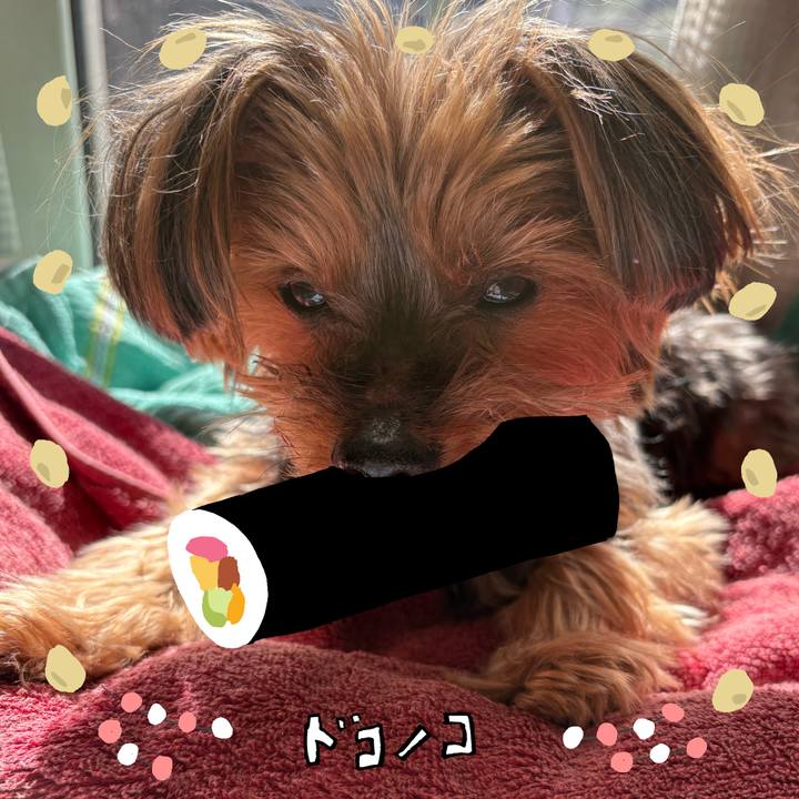 Fcecf892 aa35 4521 b9ed c93918ffabfe 1741208413695