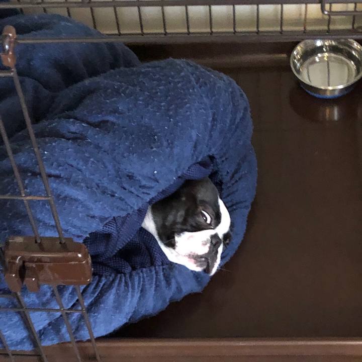 Fcecff59 8cc1 4b05 a806 5c81783dd50d 1560772847770