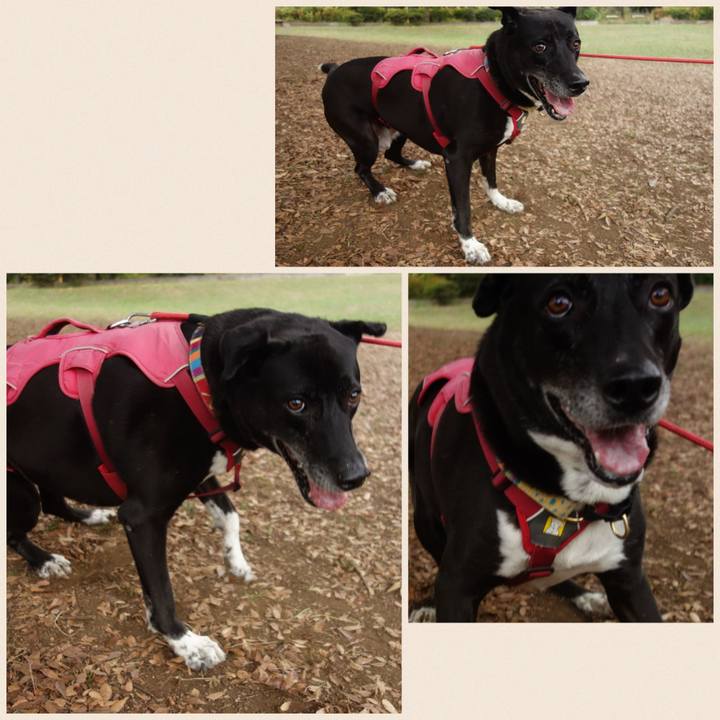 Fced4931 a31f 49c7 af9c c31d3faf91f6 1699145251765