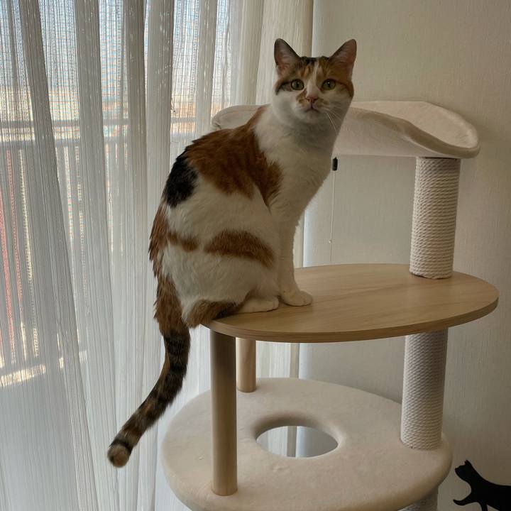 Fced50f6 919d 4cfb bcc4 7e4f9577f7e7 1613519327163