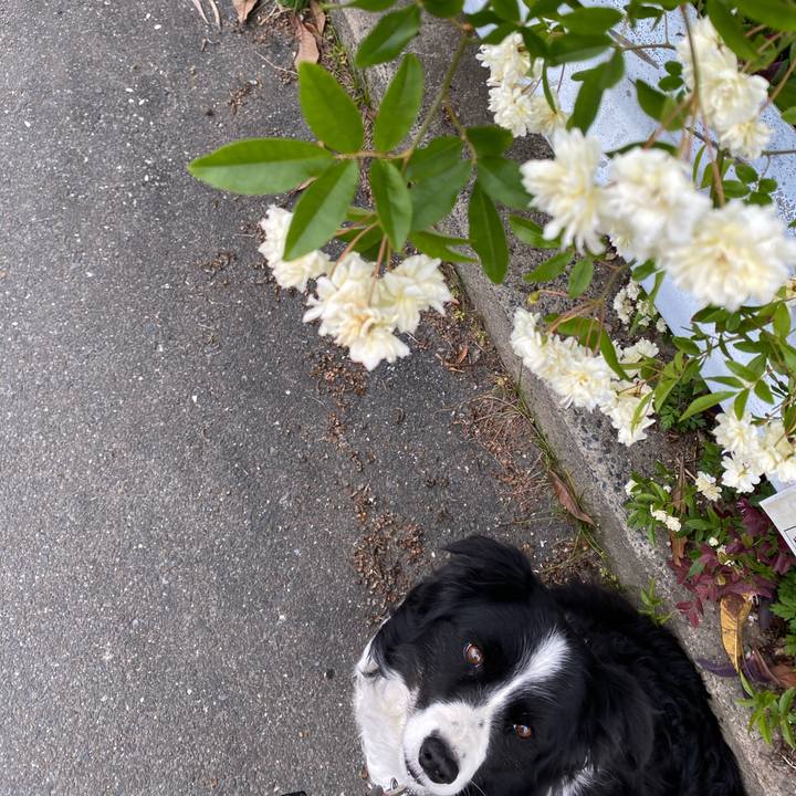 Fced575e 69c6 4276 ae38 ef7a1828c4c3 1618535028111