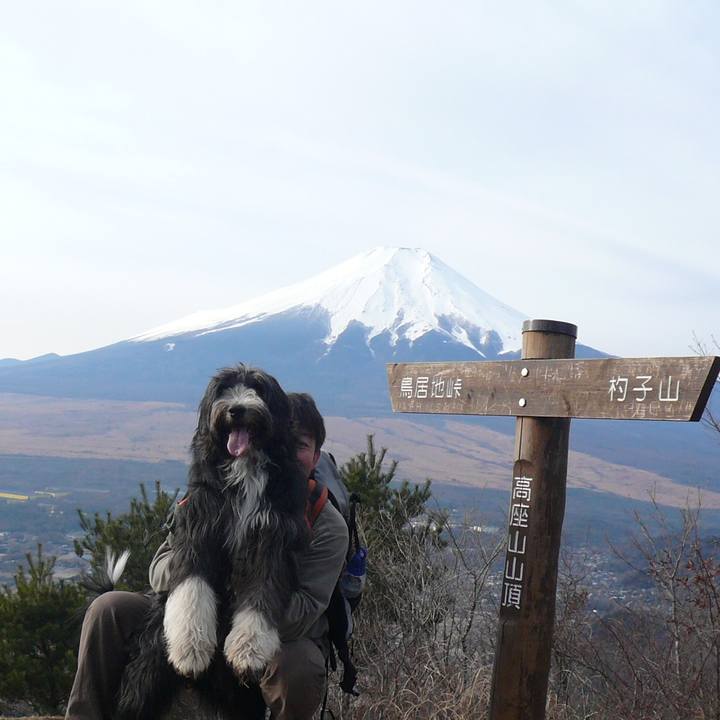 Fced5f6a 64a0 4877 b26d a4735654bb51 1548067748755