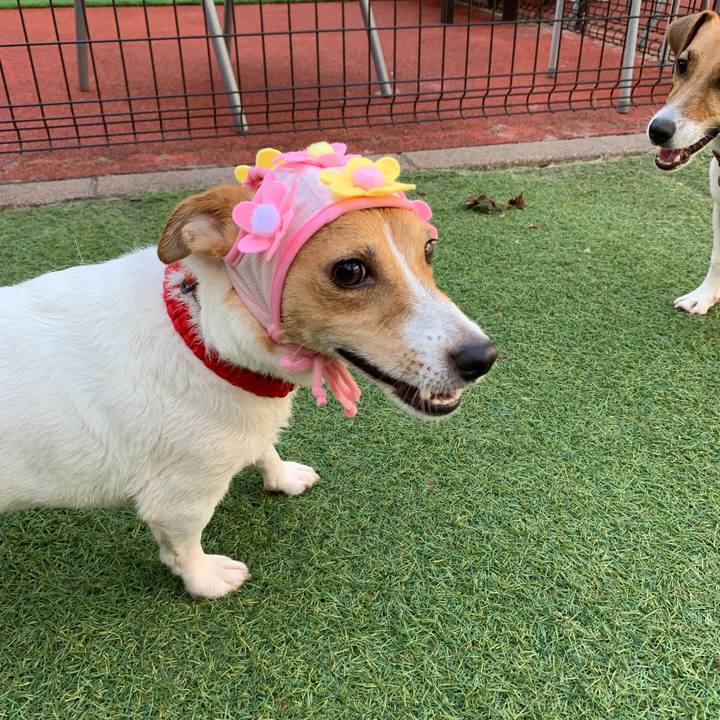 Fced75ec a7b6 4166 a214 96506eb0e360 1565576686145