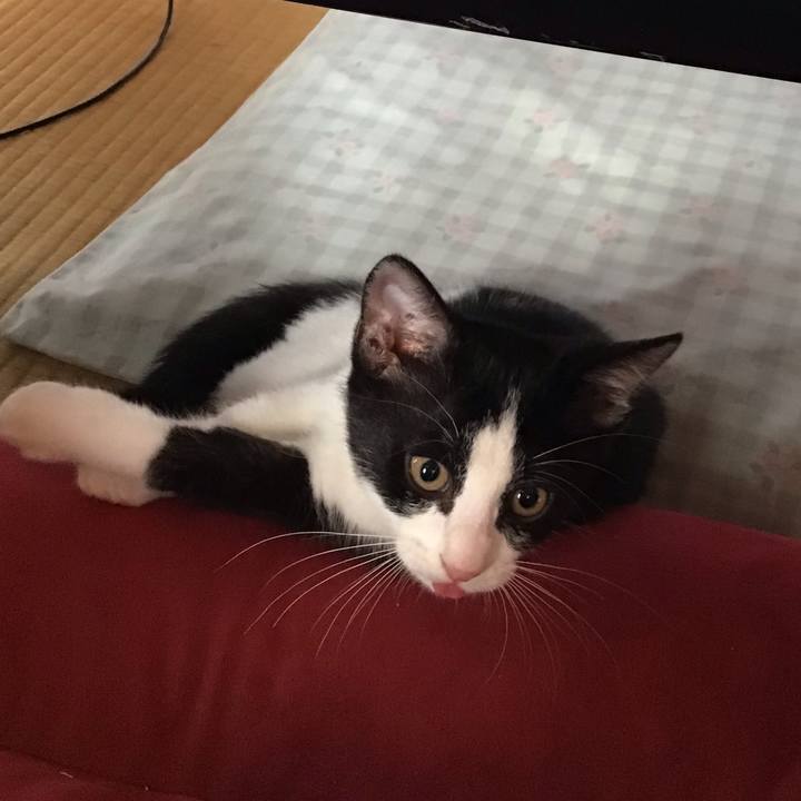 Fced9c6e eb39 4edd b72f ff8ff071d3a2 1626479248160