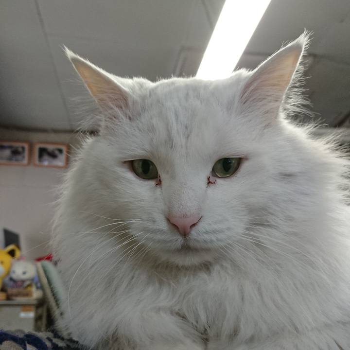 Fced9d13 7d37 42c0 ae38 116e5c78a01c 1553639141799