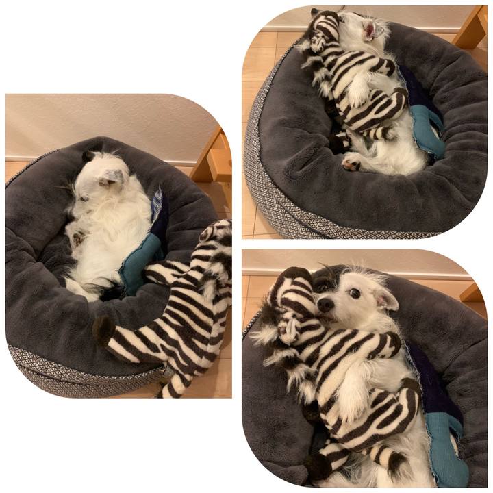 Fcedbb6c 67f1 4f4a 8ddb e534f07b6142 1664541458721