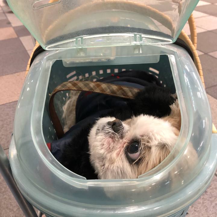 Fcedd631 bc6b 454c a225 8d2881e5849f 1577569892684