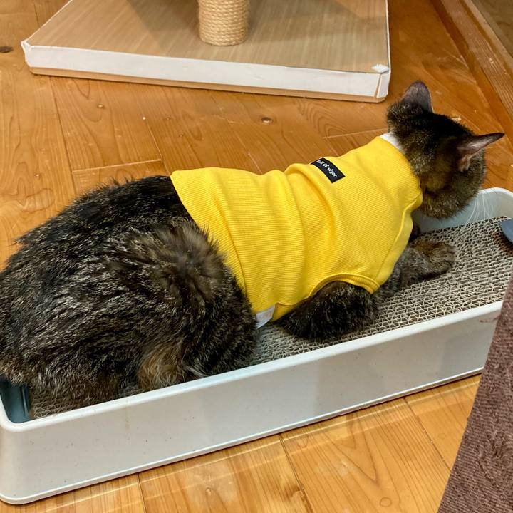 Fcedf705 c3ff 4d97 b72c 18e12fb9fbf1 1689325614787