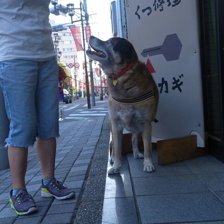 Fcee0a45 78a6 4af1 9926 0800257d4e3b 1586824442534