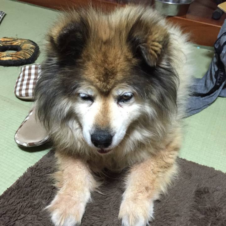 Fcee2d1b 4989 46d0 8e9a b7948c57f19a 1612401309711