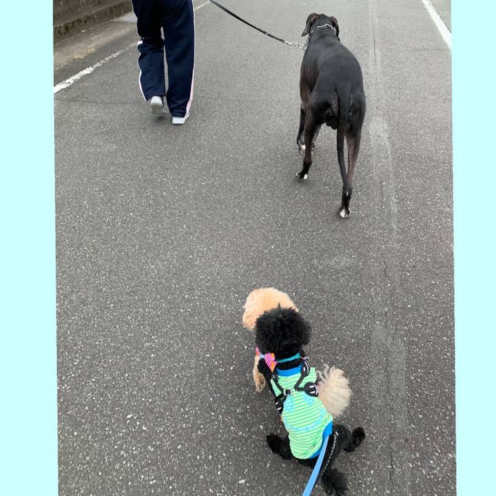 Fcee2fd0 5ac4 4dc7 8a06 fd132ade9de8 1572130802419