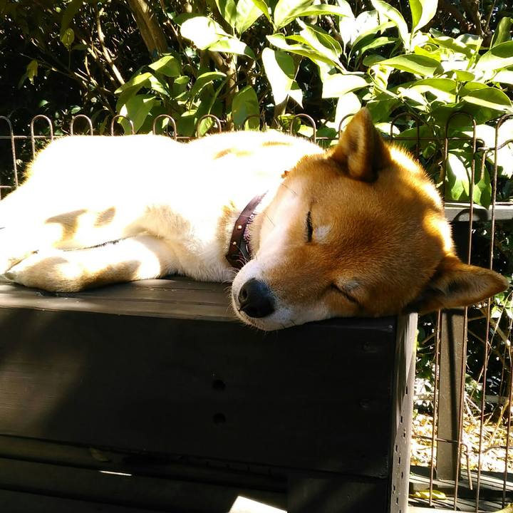 Fcee4e2a 7fa8 472c 912c 3bb732d292f3 1519875885951