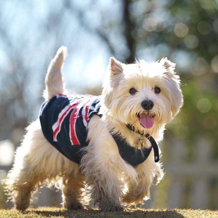 Fcee8734 eddf 4cb6 9d8b 31598086fe84 1515329530399