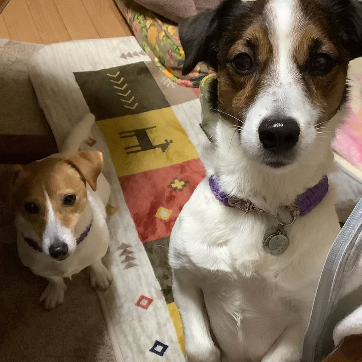 Fcee88d7 2d99 4cfb 9f67 cb0d932f20c6 1582796833461