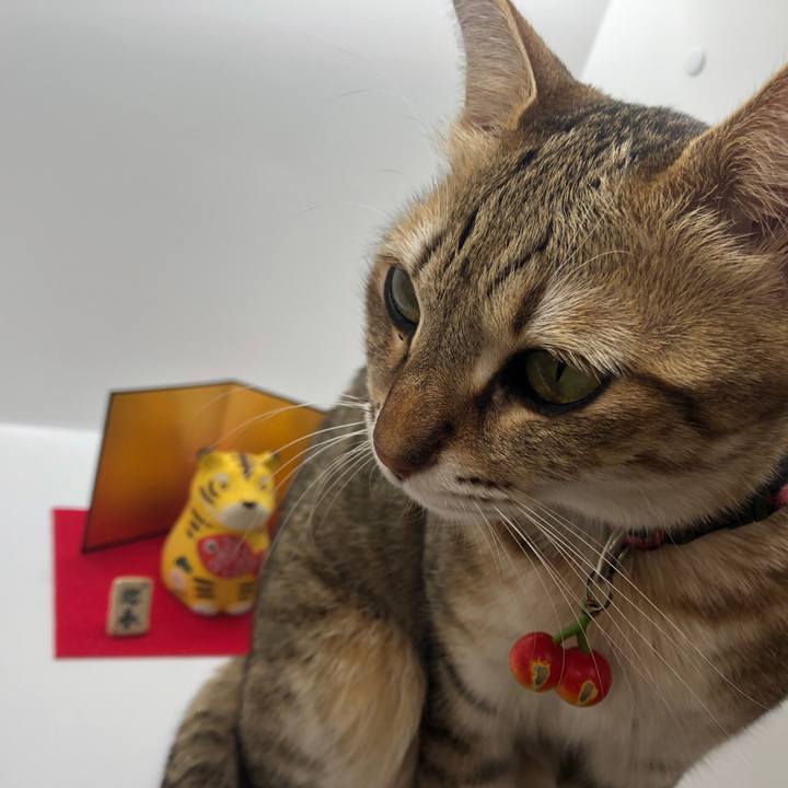 Fcee88ef 90b0 4ac8 9413 f18ea20d0d4a 1638449555957