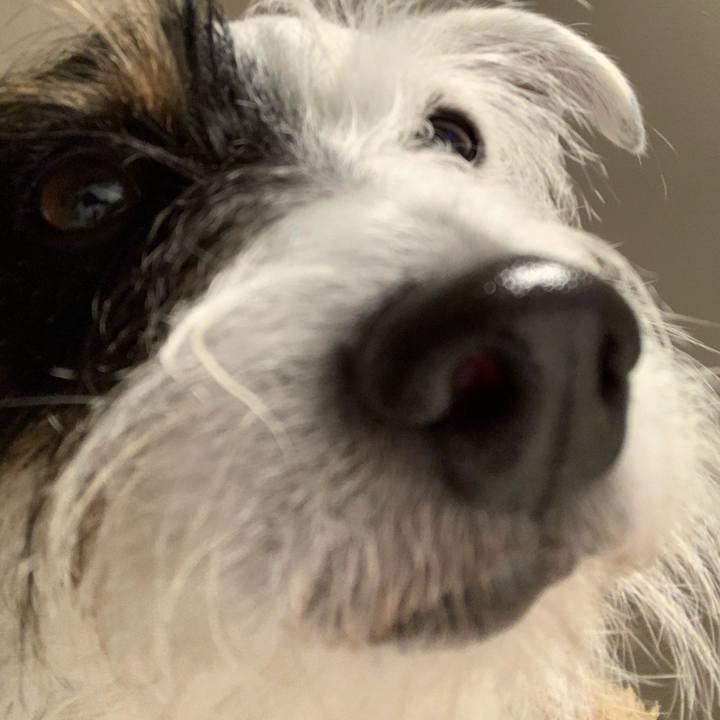 Fcee9008 1286 4940 ad63 88f891e1dfca 1576328071405