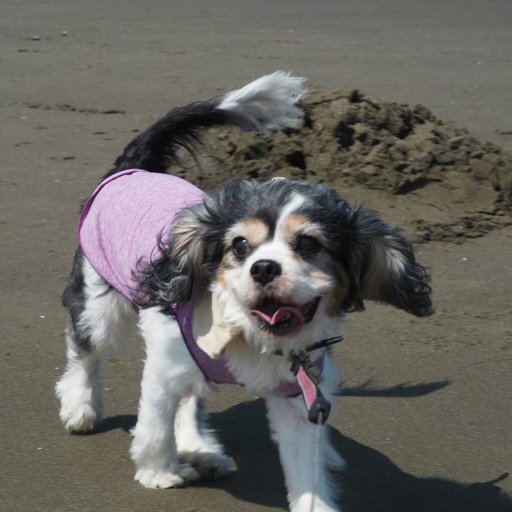 Fceeea98 b6e1 4786 83f9 c9e6440eac71 1525498323794