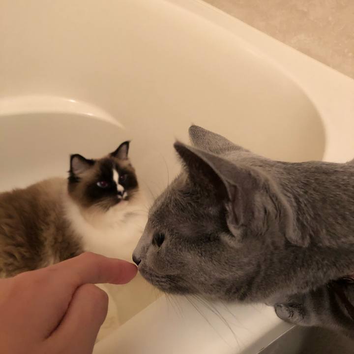 Fceef605 6d93 4bf1 8afe b93b27d18e1c 1548670212650