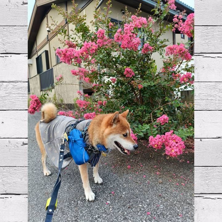 Fcef0bbd 7227 400a a5d8 dc367c1ac118 1754439479280