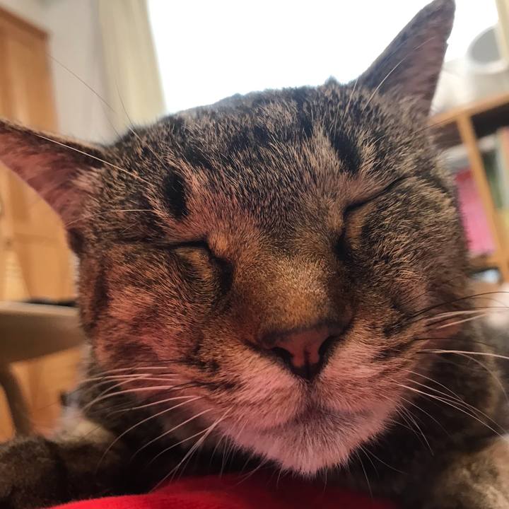 Fcef3e6d d055 48dd 98fd 981df50c49a9 1623568292370