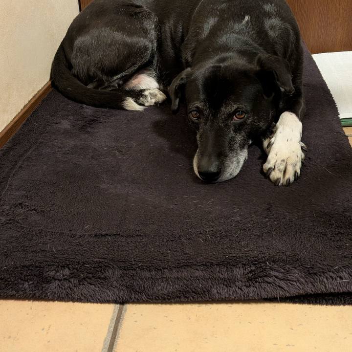 Fcef6fbb 77c6 4e22 ad33 2fb0c0fbaa76 1769821055170