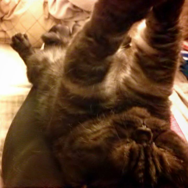 Fcefae21 dd3b 4247 9e1a a76b8c948451 1511259813566