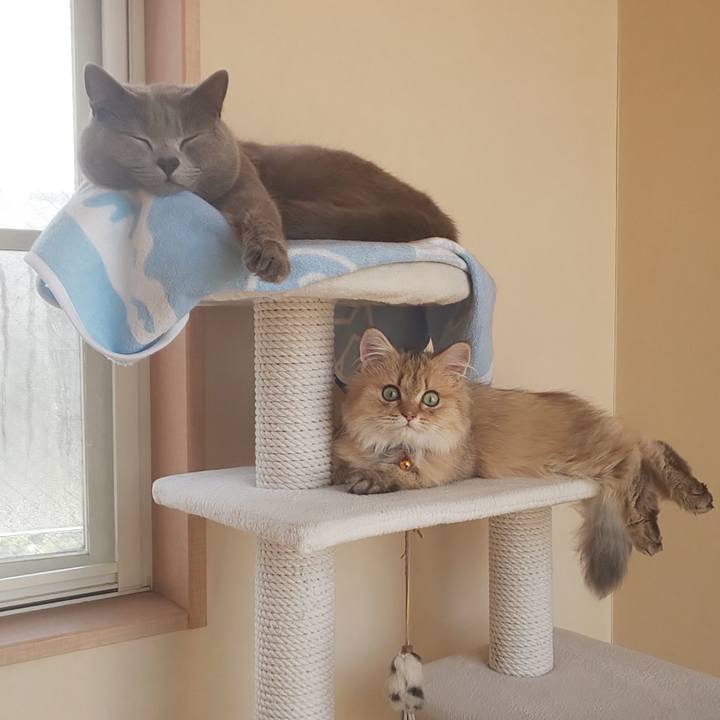 Fcefb2c2 dc1e 48c3 a97d 980157fb4339 1557723602134