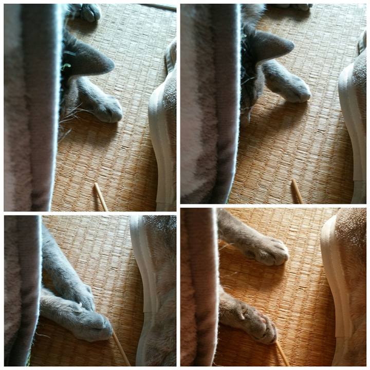 Fcefb3e8 480e 41c1 bd49 db08e91735d4 1578012880410