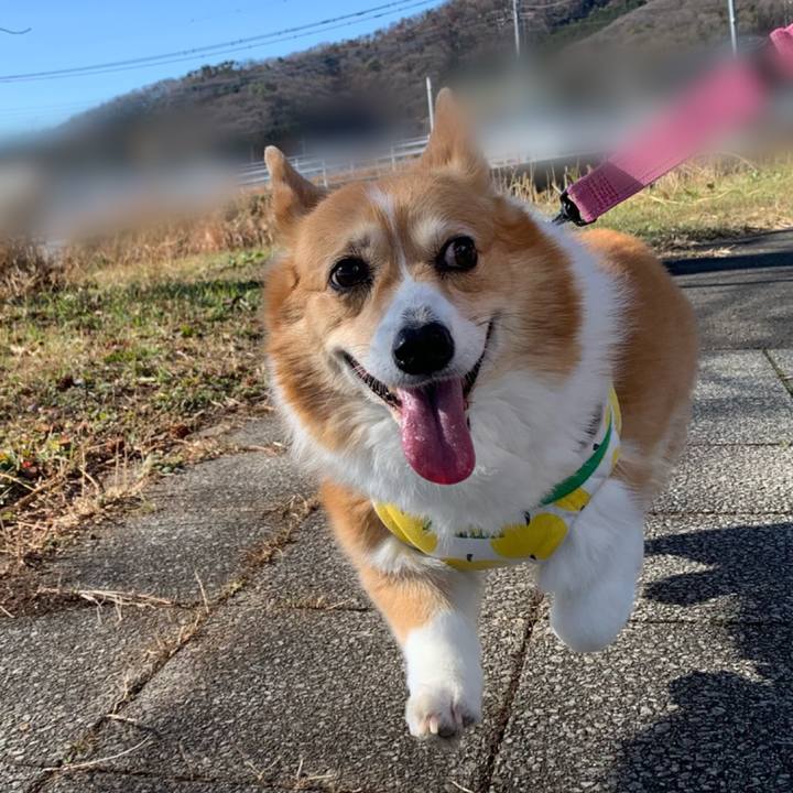 Fcefb58a e9c9 45b8 a85b 10be49f8dd69 1704085032895