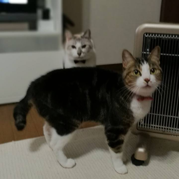 Fcefcd7b f284 4561 8634 be143f64bcd9 1542185664429