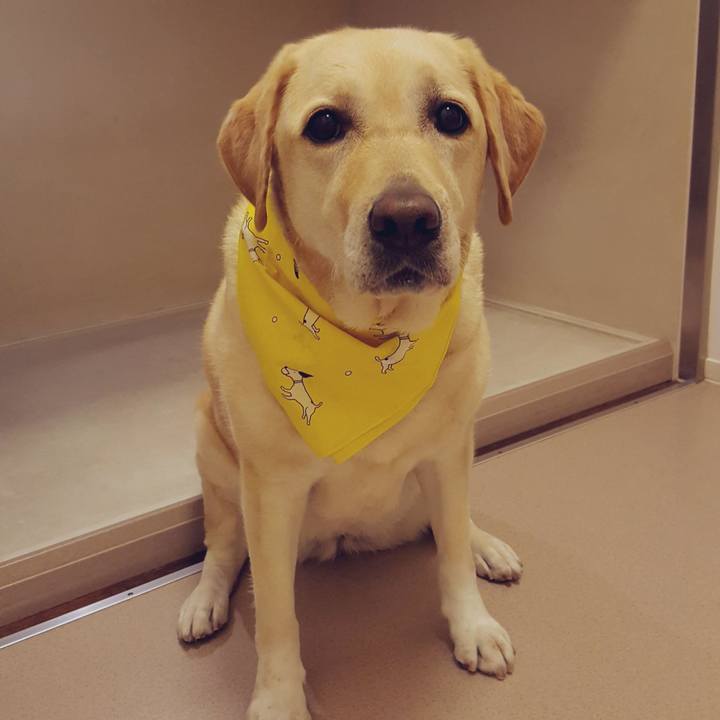 Fcefce2b 52c5 4f0e ba6a 3e1b0c494992 1561469206102