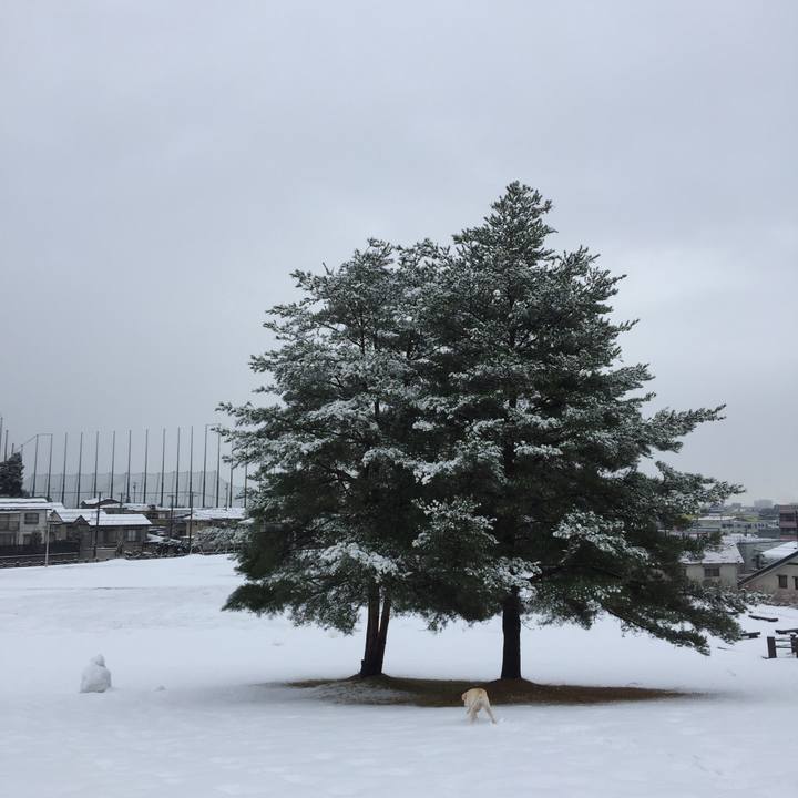 Fcefd9fb bf72 470f 81f9 0b67654d8107 1513733687545