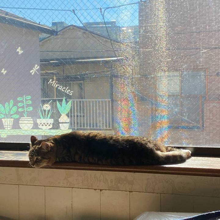 Fcefe62e fff1 415f 80d7 b5b60e8120d7 1644198813150