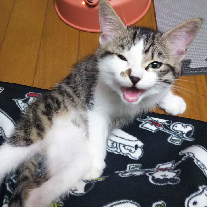 Fcf0092b a847 4c65 9386 7a8b99d0fc69 1608718658979